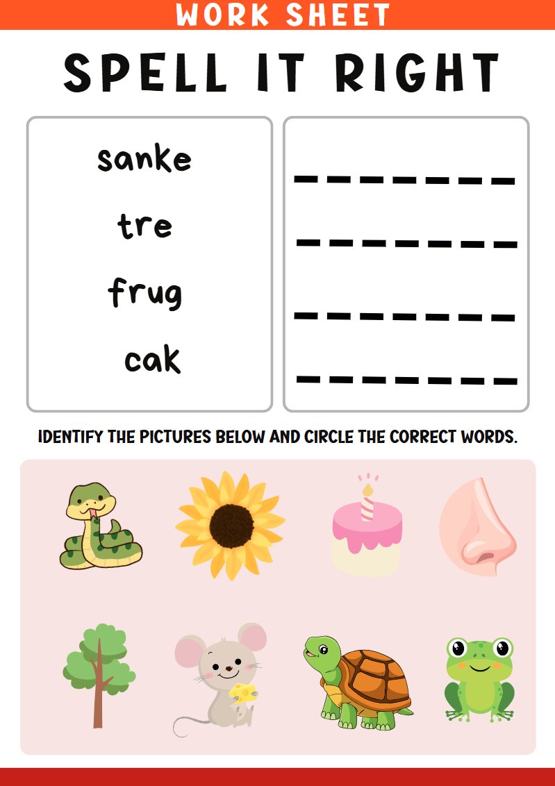Spell It Right Worksheets preview
