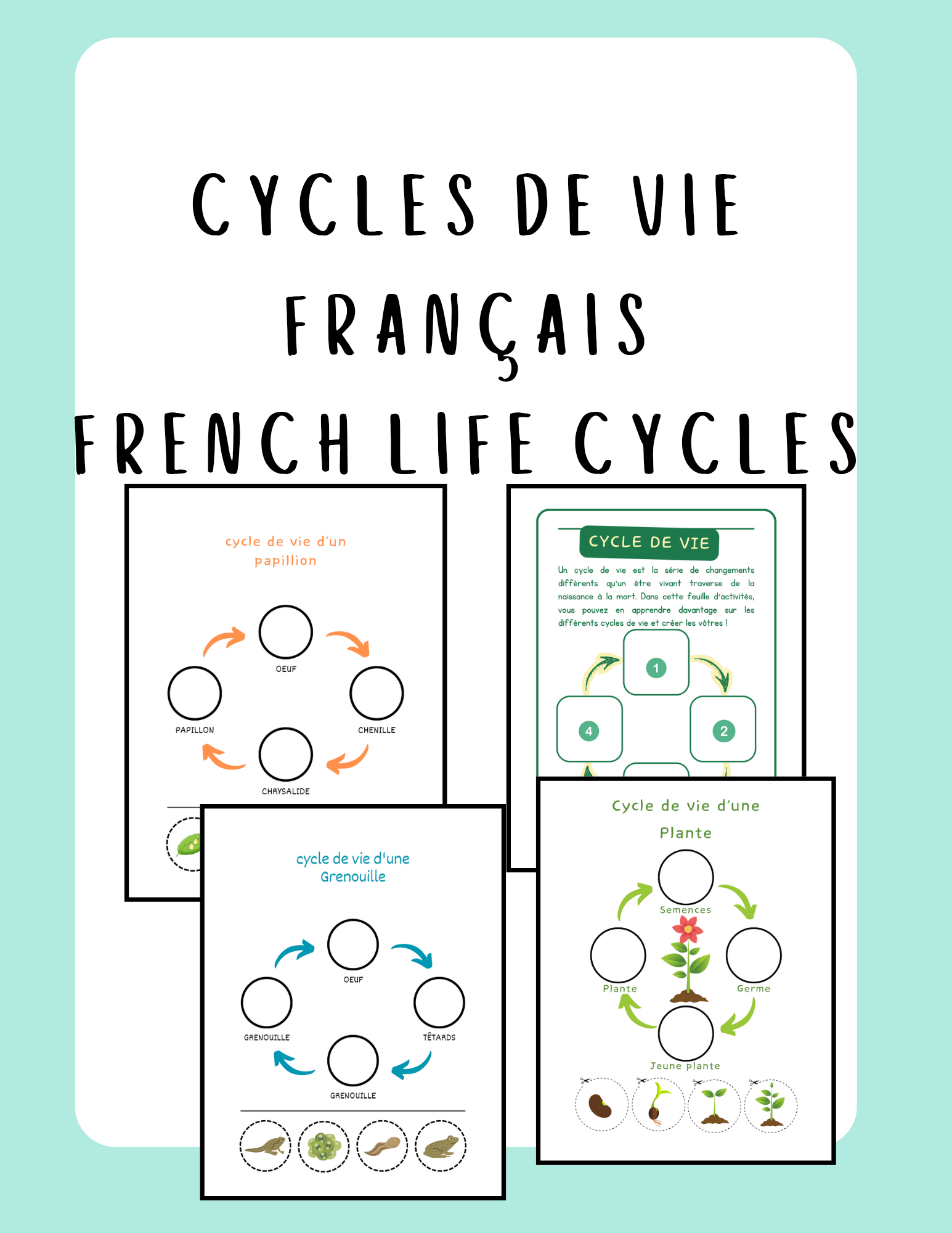 French Life Cycles Activities | Cycles de Vie Français | Science Worksheets for Primary preview