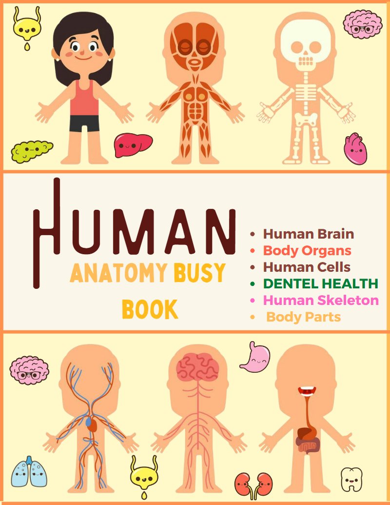 Human Anatomy Busy Book preview